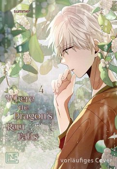 Where the Dragon's Rain Falls Bd.4 - Summer