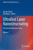 Ultrafast Laser Nanostructuring