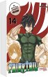 Fairy Tail Massiv Bd.14 - Bild 1
