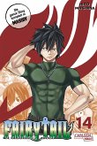 Fairy Tail Massiv Bd.14