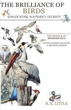 The Brilliance of Birds (eBook, ePUB) - Little, R K