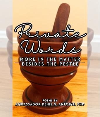 Private Words (eBook, ePUB)