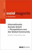 Internationale Soziale Arbeit - Perspektiven aus der Global Community (eBook, ePUB)