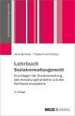 Lehrbuch Sozialverwaltungsrecht (eBook, PDF)