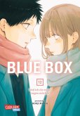 Blue Box Bd.12 (eBook, ePUB)
