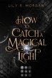 How To Catch A Magical Light / New York... - Bild 1