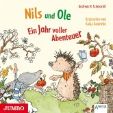 Nils und Ole. Ein Jahr voller Abenteuer [ungekürzt] (MP3-Download)