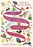 The Time Travelling Stone (eBook, ePUB)