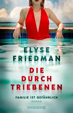 Die Durchtriebenen (eBook, ePUB) - Friedman, Elyse