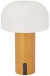 LED Lampe Styles 15 x 22,5 cm Amber PE - Bild 1