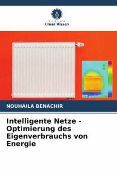 Intelligente Netze - Optimierung des Eigenverbrauchs von Energie - Benachir, Nouhaila