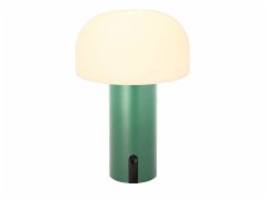 LED Lampe Styles 15 x 22,5 cm Grün PE