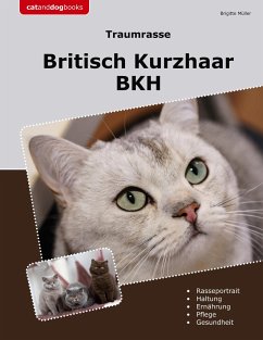 Traumrasse Britisch Kurzhaar - Müller, Brigitte