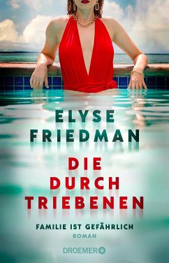 Die Durchtriebenen - Friedman, Elyse