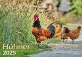 Hühner 2025 Bildkalender A3 quer - Judith Kiener & Oliver Giel