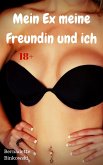 Mein Ex, meine Freundin und ich (eBook, ePUB)