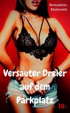 Versauter Dreier auf dem Parkplatz (eBook, ePUB)