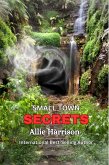 Small Town Secrets (eBook, ePUB)