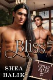 Bliss (Cedar Falls, #25) (eBook, ePUB)