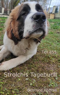 Strolchis Tagebuch - Teil 855 (eBook, ePUB) - Kobras, Beatrice