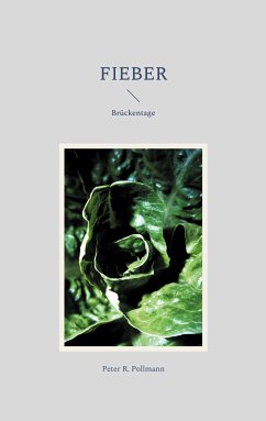 Fieber (eBook, ePUB) - Pollmann, Peter R.