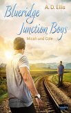 Blueridge Junction Boys - Micah und Cole (eBook, ePUB) Blueridge Junction Boys - Micah und Cole (eBook, ePUB)