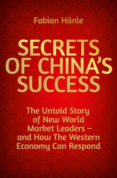 Secrets of China's Success (eBook, PDF) - Hänle, Fabian