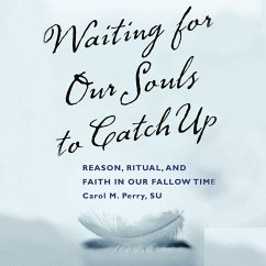 Waiting for our Souls to Catch Up (MP3-Download) - Perry SU