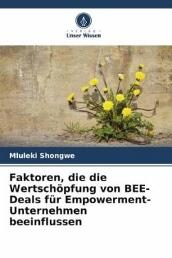 Faktoren, die die Wertschöpfung von BEE-Deals für Empowerment-Unternehmen beeinflussen - Shongwe, Mluleki