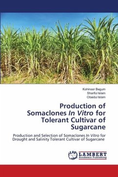 Production of Somaclones In Vitro for Tolerant Cultivar of Sugarcane