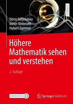 Höhere Mathematik sehen und verstehen - Haftendorn, Dörte;Riebesehl, Dieter;Dammer, Hubert