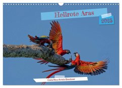 Hellrote Aras (Wandkalender 2025 DIN A3 quer), CALVENDO Monatskalender