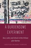 A Burdensome Experiment (eBook, ePUB)