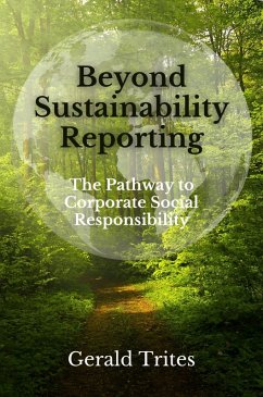 Beyond Sustainability Reporting (eBook, ePUB)