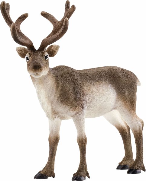 Schleich 14837 - Wild Life, Rentier, Höhe: 11,8 cm Schleich 14837 - Wild Life, Rentier, Höhe: 11,8 cm