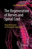 The Regeneration of Nerves and Spinal Cord (eBook, PDF)