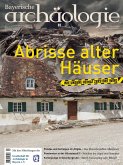 Abrisse alter Häuser (eBook, PDF)