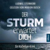 Der Sturm erwartet Dich (MP3-Download)