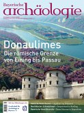 Donaulimes (eBook, PDF)