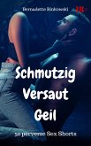 Schmutzig versaut geil (eBook, ePUB)