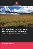 Produção convencional de ananás no Quénia