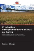 Production conventionnelle d'ananas au Kenya