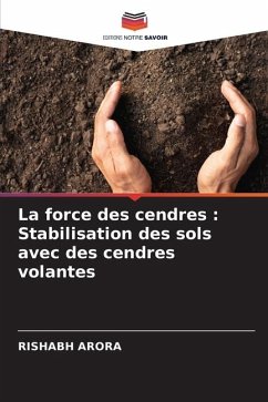 La force des cendres : Stabilisation des sols avec des cendres volantes - Arora, Rishabh