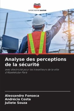 Analyse des perceptions de la sécurité - Fonseca, Alessandro;Costa, Andrécia;Souza, Juliete