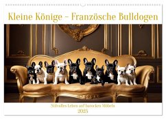 Kleine Könige - Französische Bulldoggen (Wandkalender 2025 DIN A2 quer), CALVENDO Monatskalender