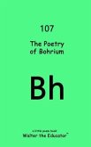The Poetry of Bohrium (eBook, ePUB)
