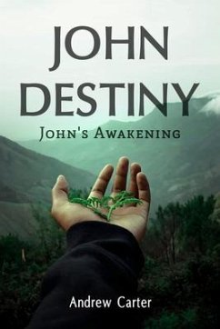 Cover John Destiny (eBook, ePUB)