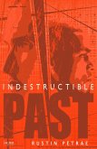 Indestructible:PAST (eBook, ePUB)