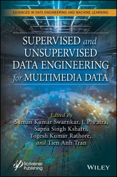 Supervised and Unsupervised Data Engineering for Multimedia Data (eBook, ePUB)