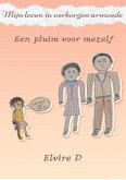 Leven in verborgen armoede (eBook, ePUB)